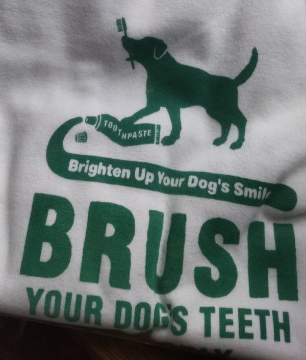 89％以上節約 シズ公 ティースピック２ フラット 犬 デンタルケア 歯磨き